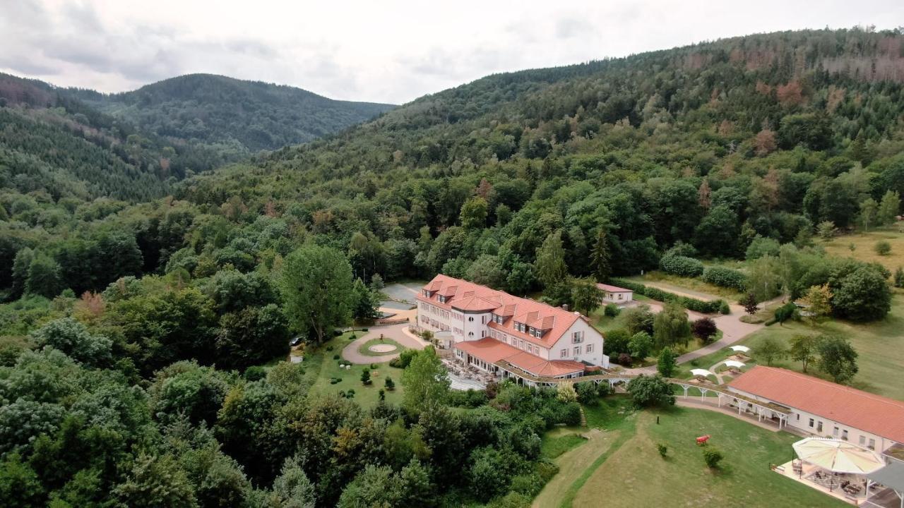 Regiohotel Naturresort Ilsenburg Zewnętrze zdjęcie